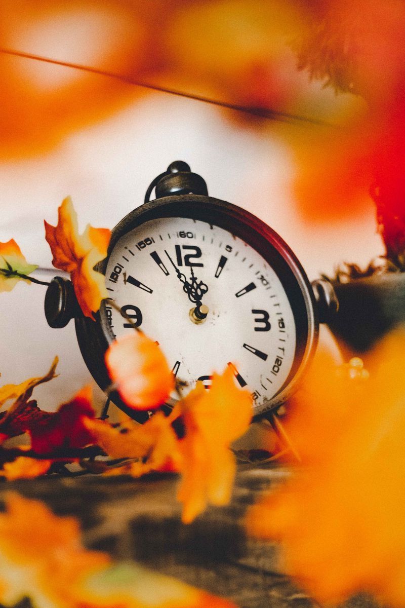 800x1200 wallpaper 800x1200 clock, dial, leaves