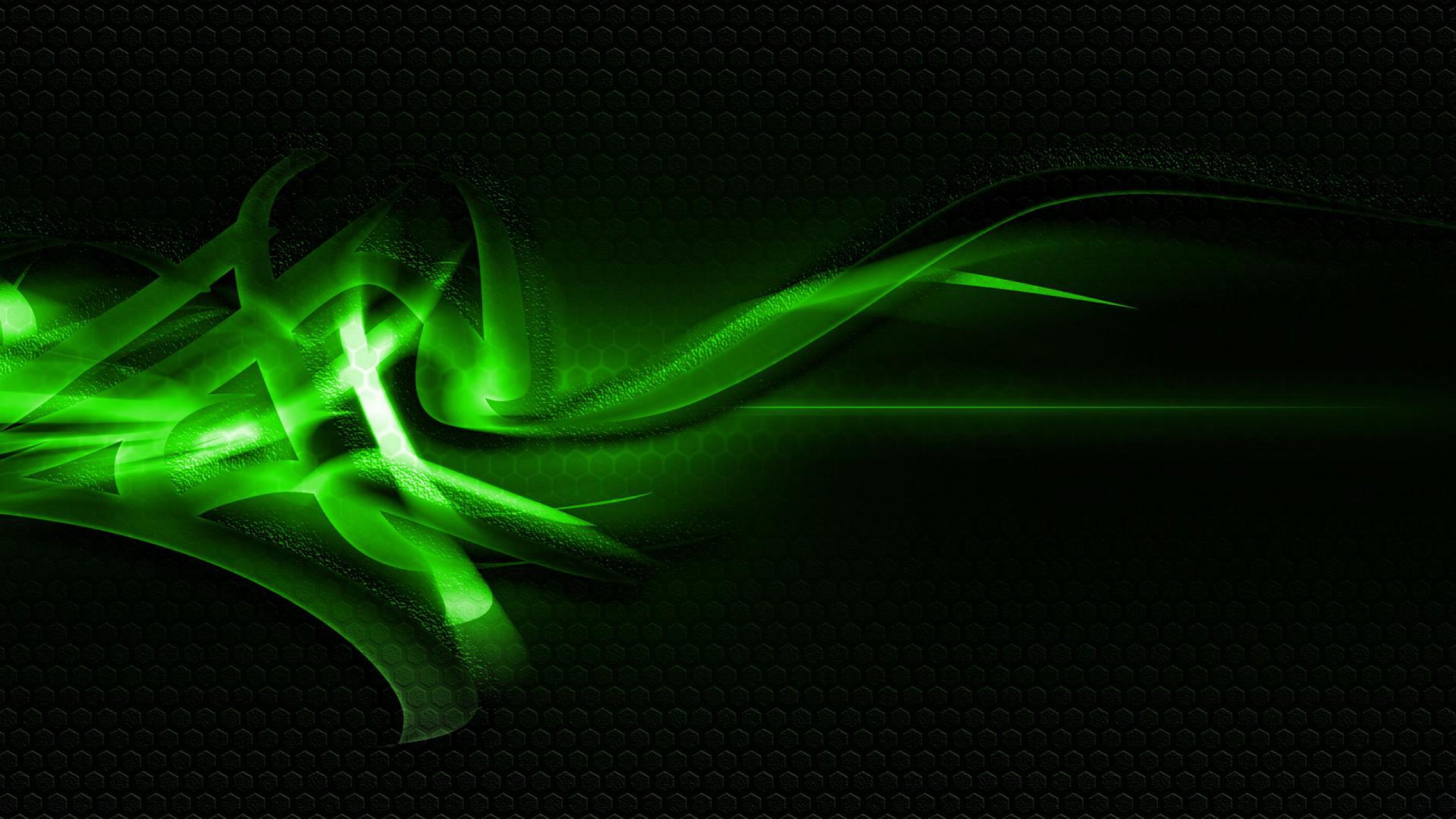 2560x1440 Light Green Wallpaper HD, Picture