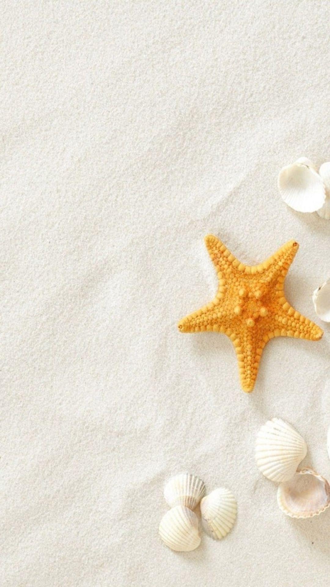 1080x1920 Pure Seaside Beach Starfish Seashell iPhone 8 Wallpaper