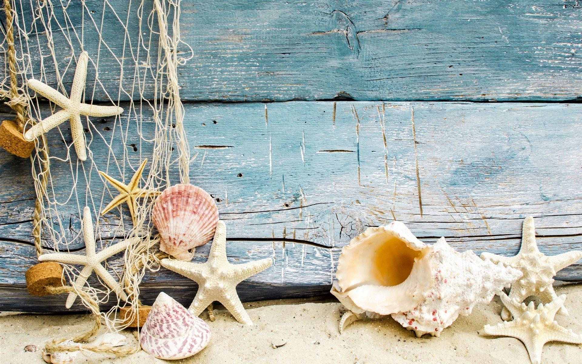 1920x1200 Wallpaper Seashells, starfish, sand, wood 2560x1600 HD