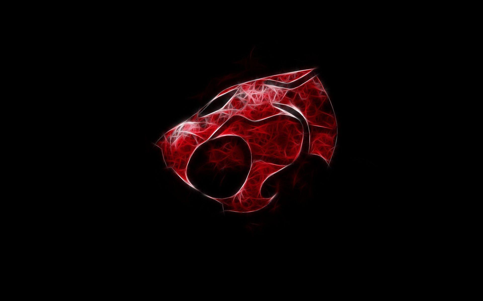 Thundercats Wallpapers Top Free Thundercats Backgrounds Wallpaperaccess
