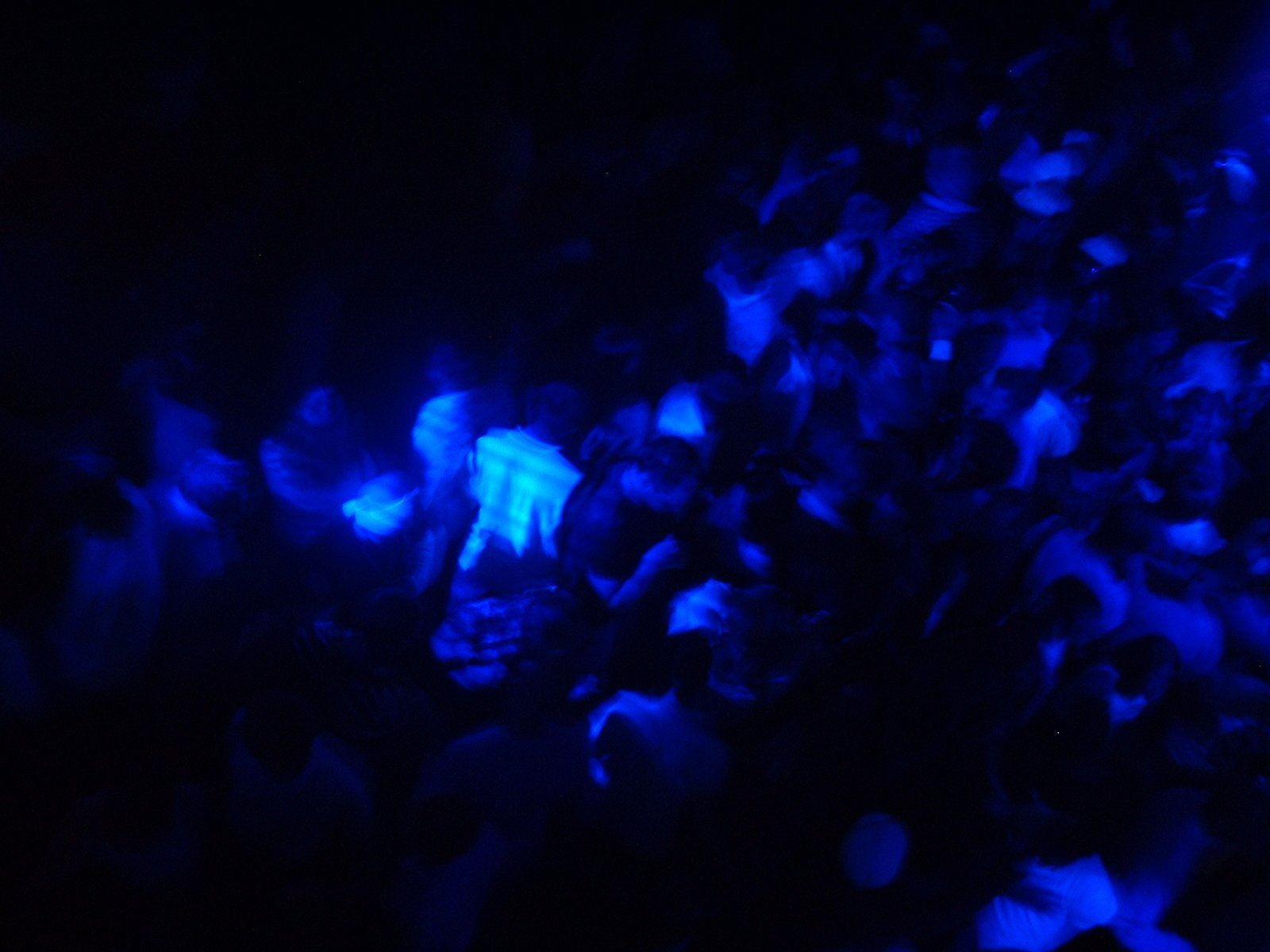 1600x1200 Dancefloor 2 Free Photo Download