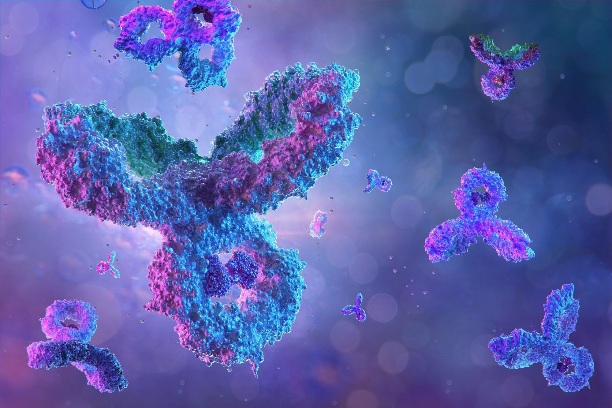 2000x1333 Molecular Fate Mapping Of Antibodies