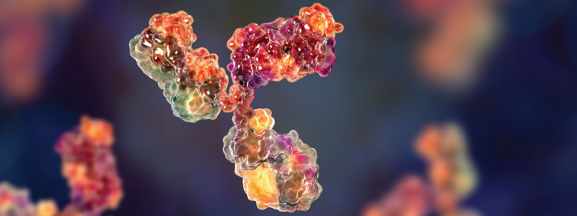 1920x720 Primary Antibodies