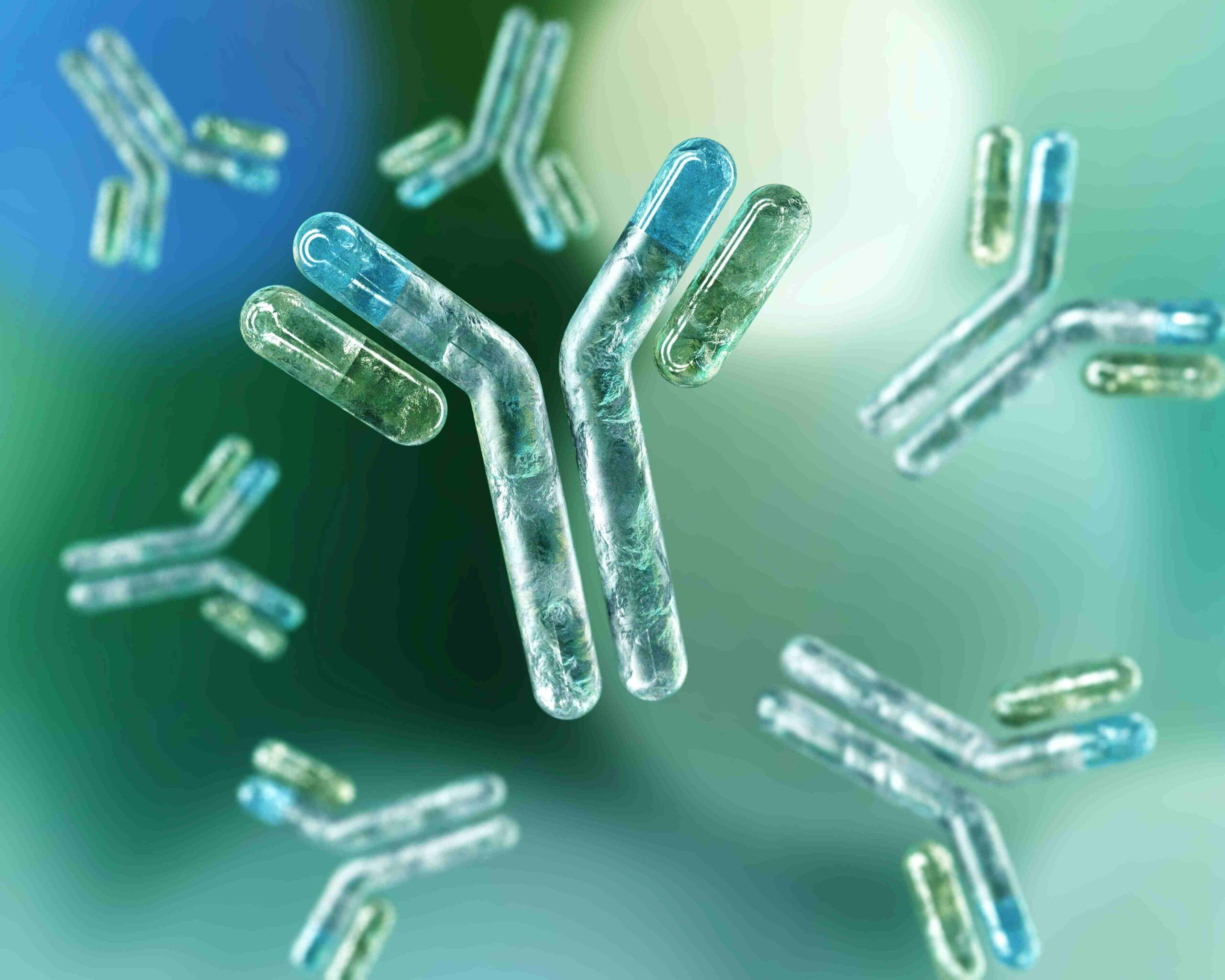 2560x2048 Kinases Antibody Products