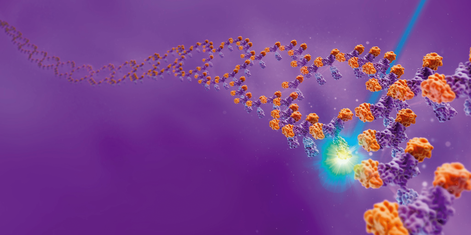 1920x960 The best antibody is the best fit