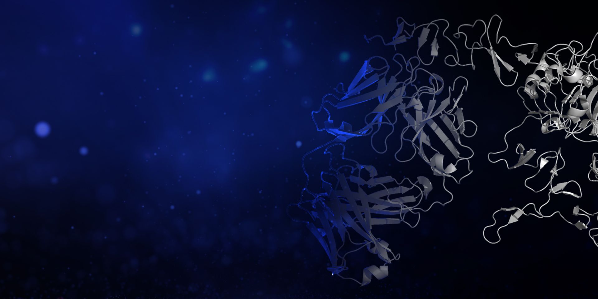 1920x960 computational antibody engineering