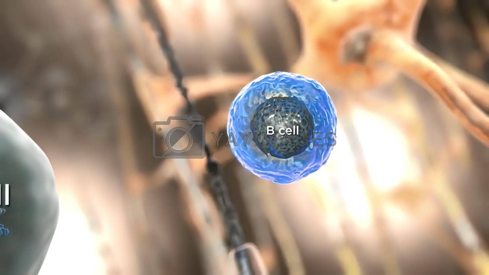 1600x900 Concept of antibody immunology