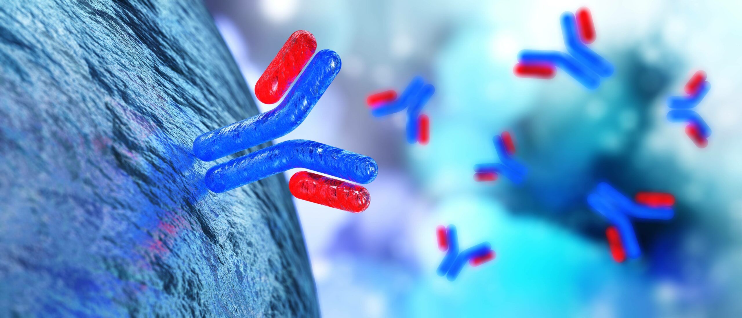 2560x1097 anti- GIF antibody