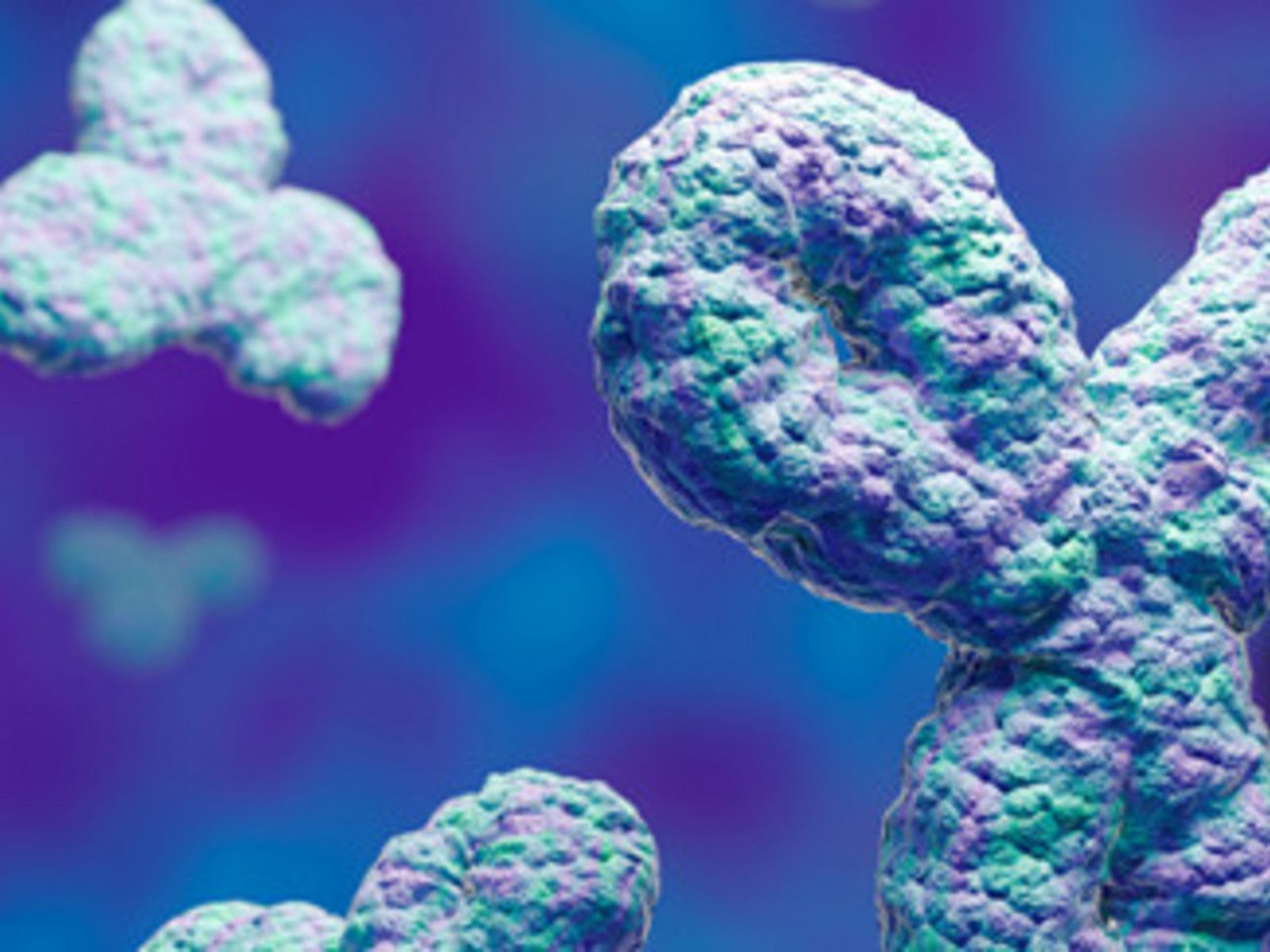 1600x1200 Monoclonal Antibody Coformulations