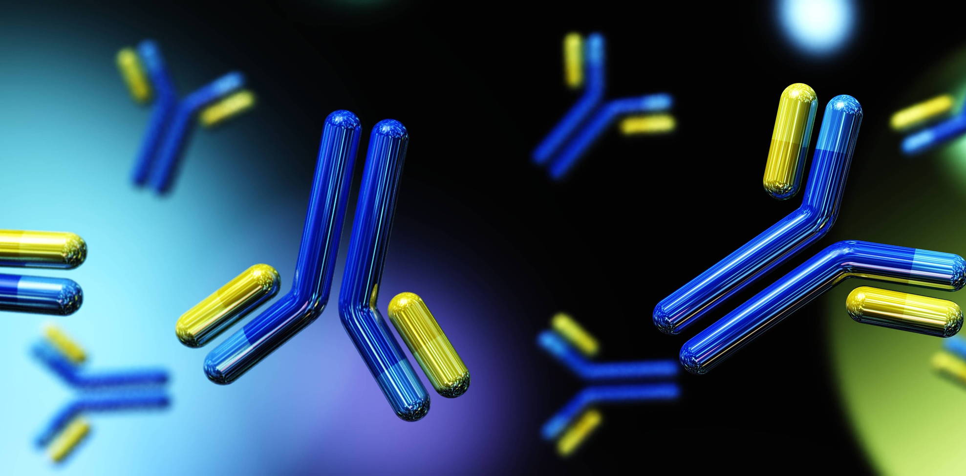 1977x974 Custom Antibody Characterization