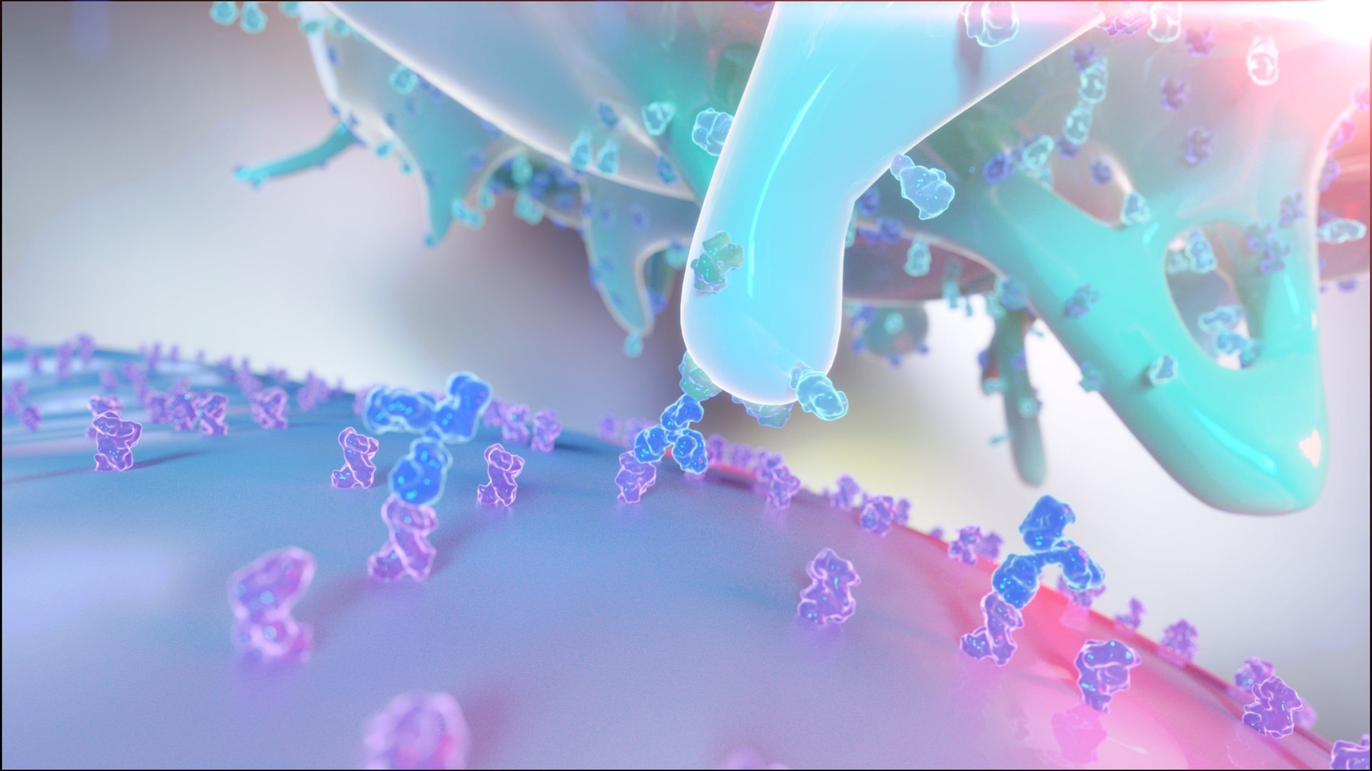 2667x1500 Rethinking Refolding: The Case