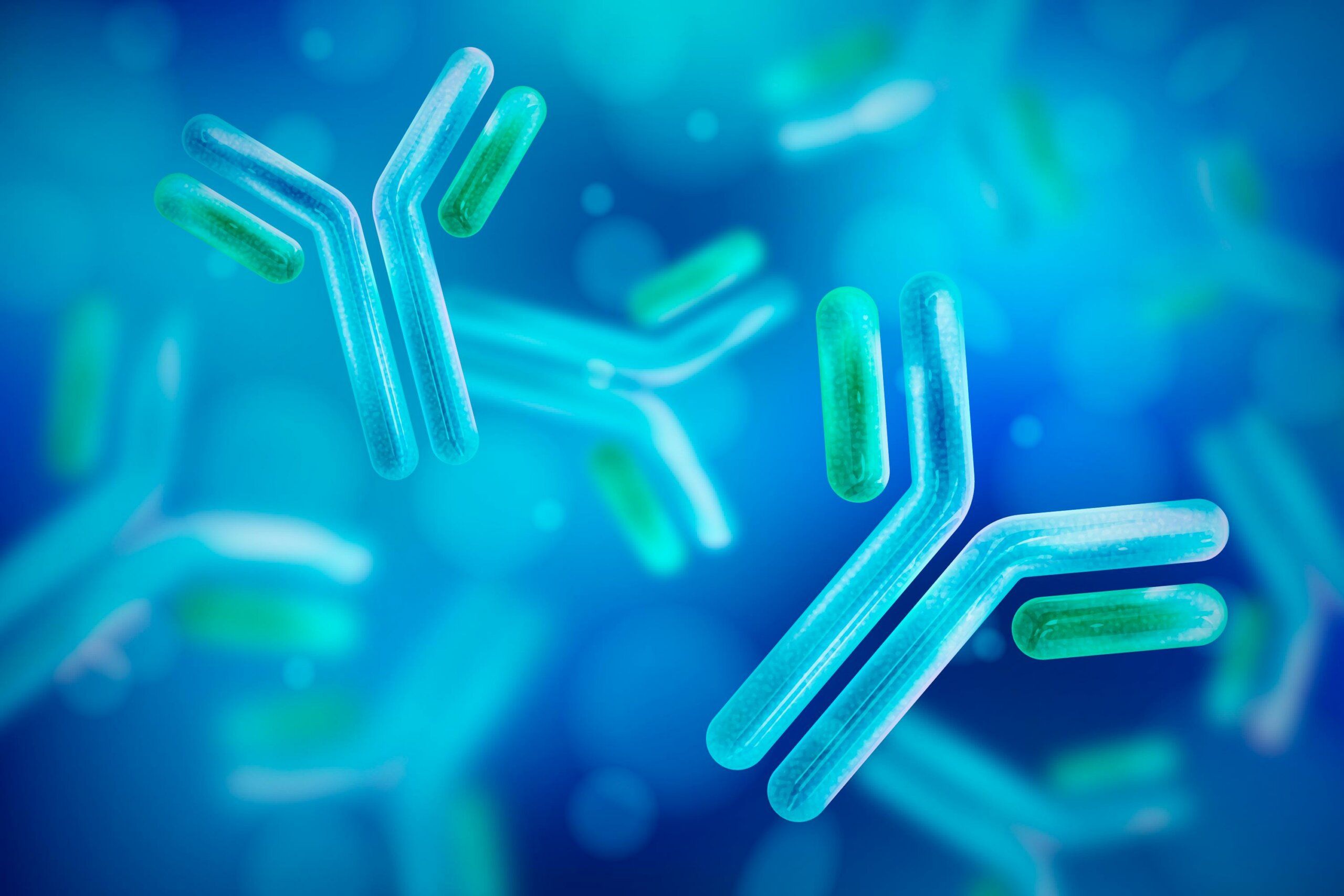 2560x1707 Antibodies Extend Mouse Lifespan By 25