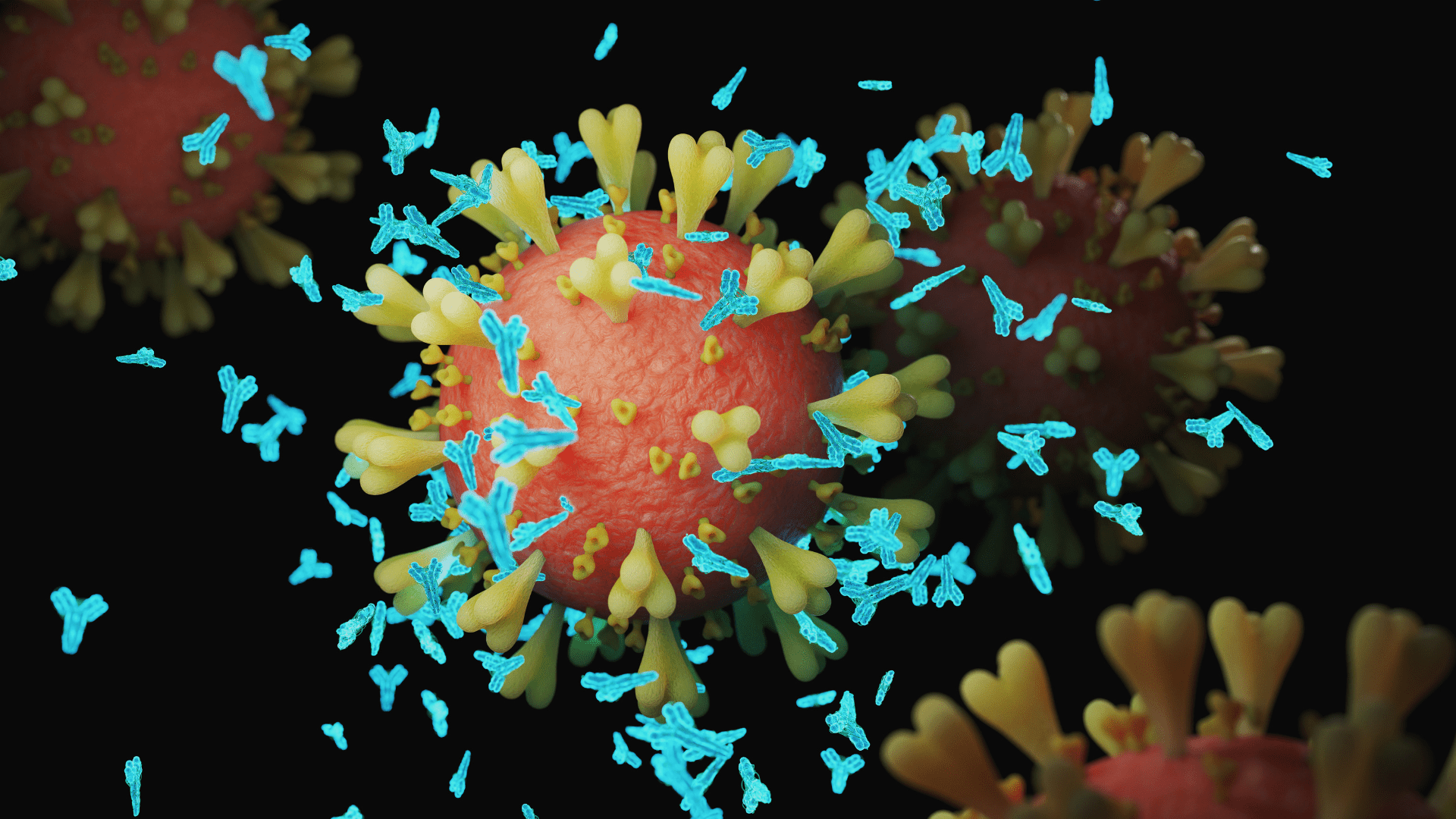 1920x1080 Upping the antibody