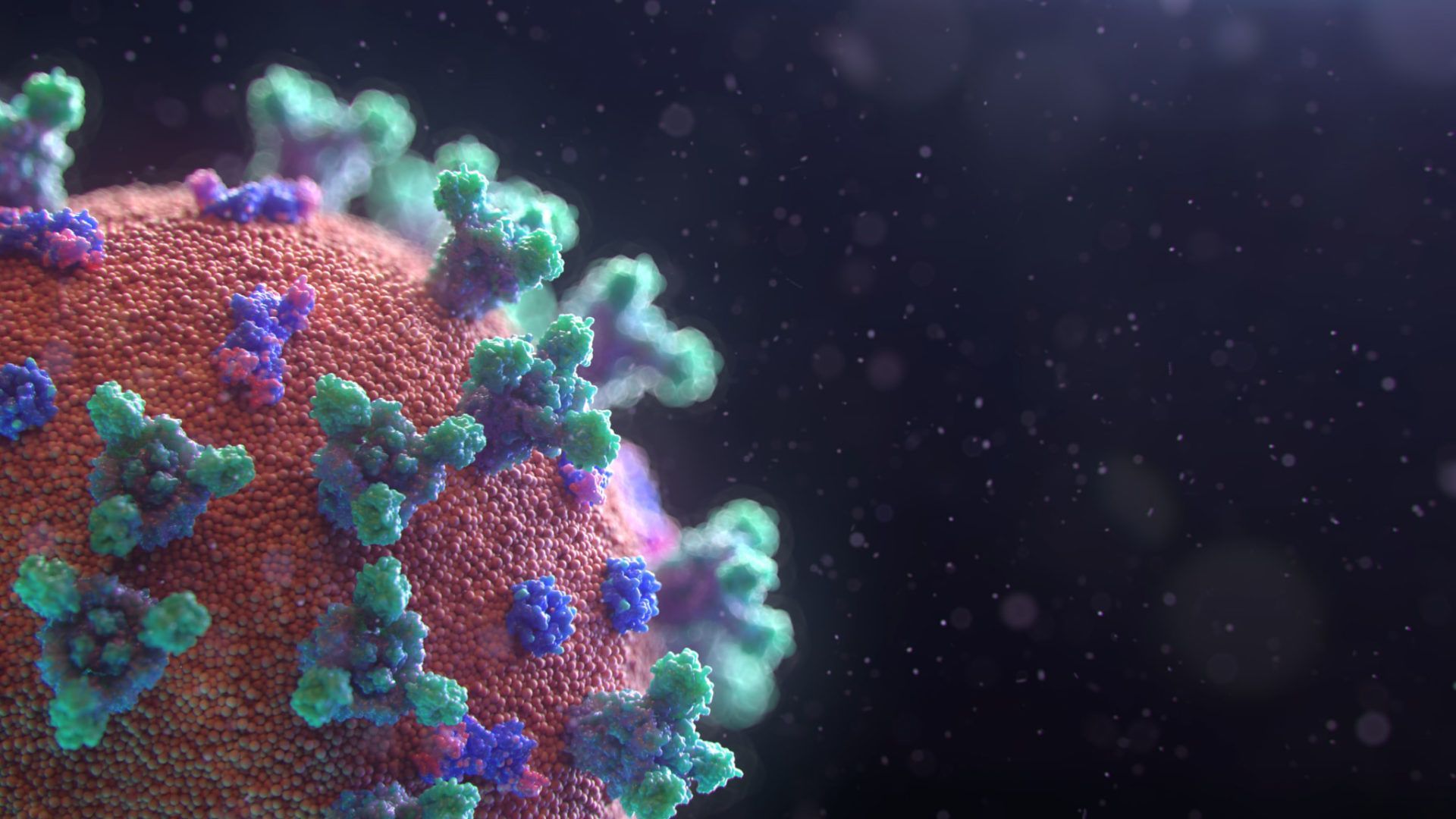 1920x1080 Free coronavirus antibody tests for NHS