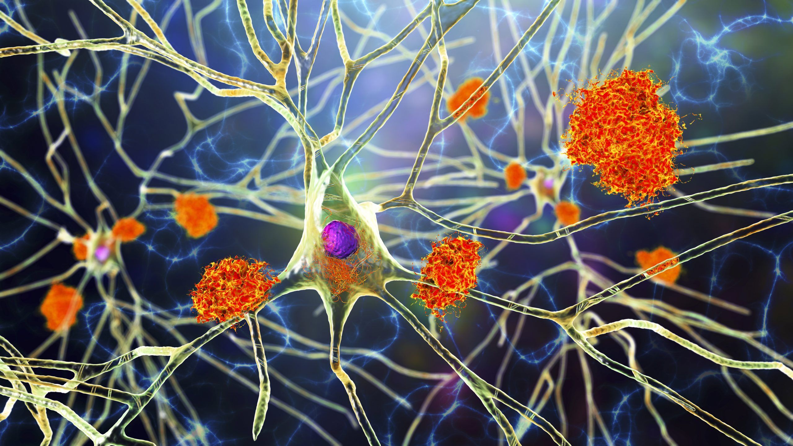 2560x1440 Engineered Antibody Shows Therapeutic