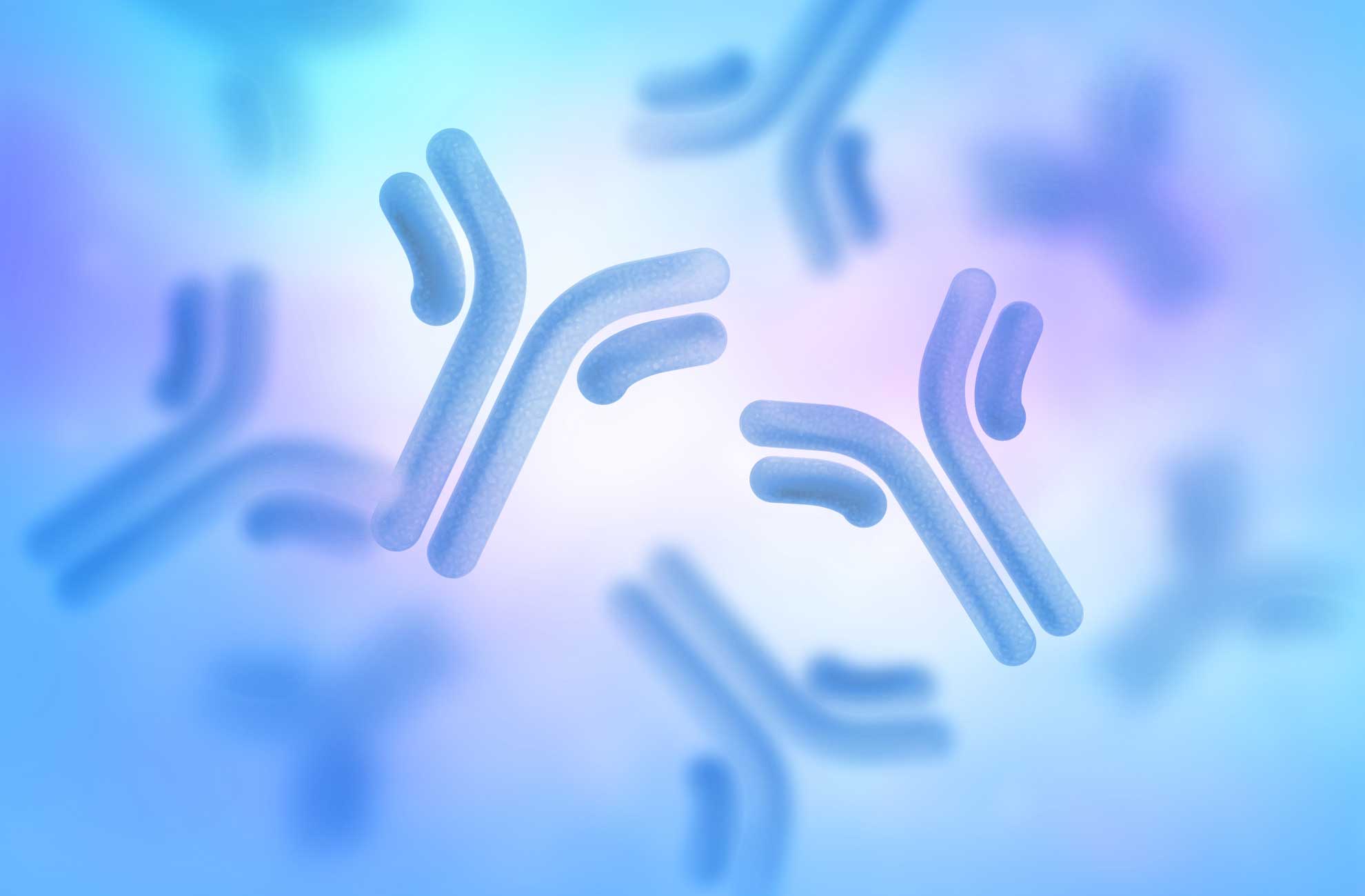 1980x1299 Recombinant antibodies from Cusabio