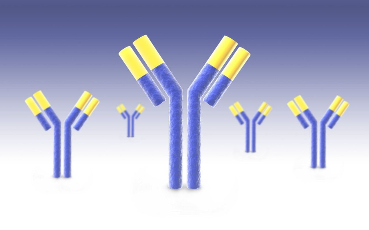 1280x800 Conceptual image of an antibody Poster
