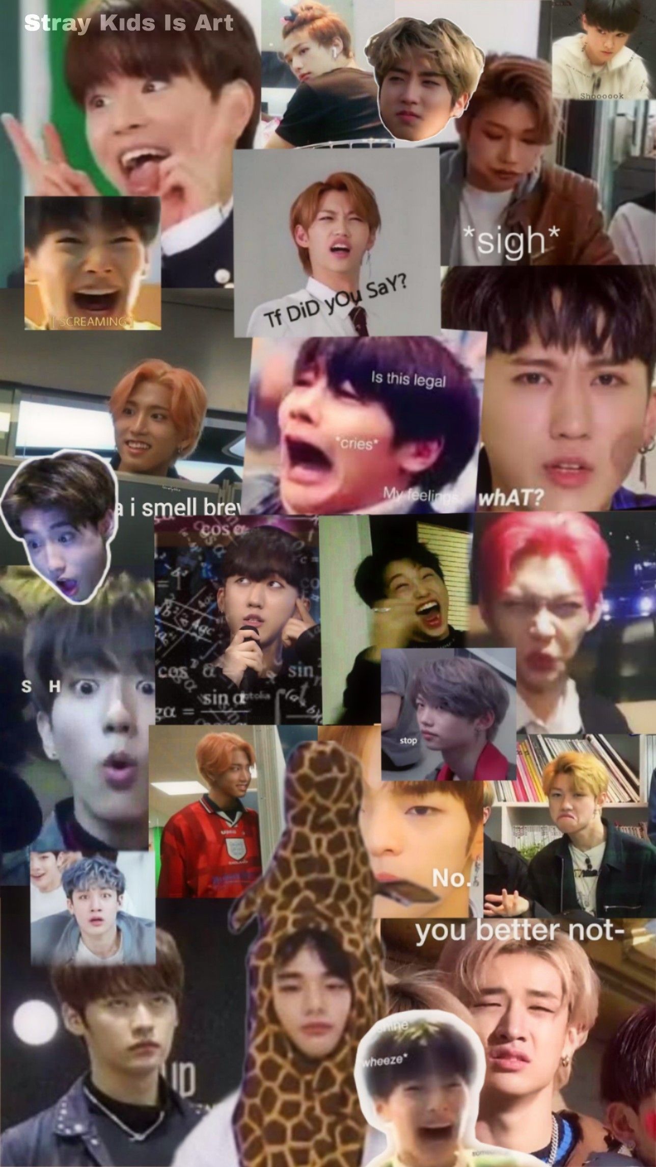 1288x2289 Stray kids wallpaper meme face