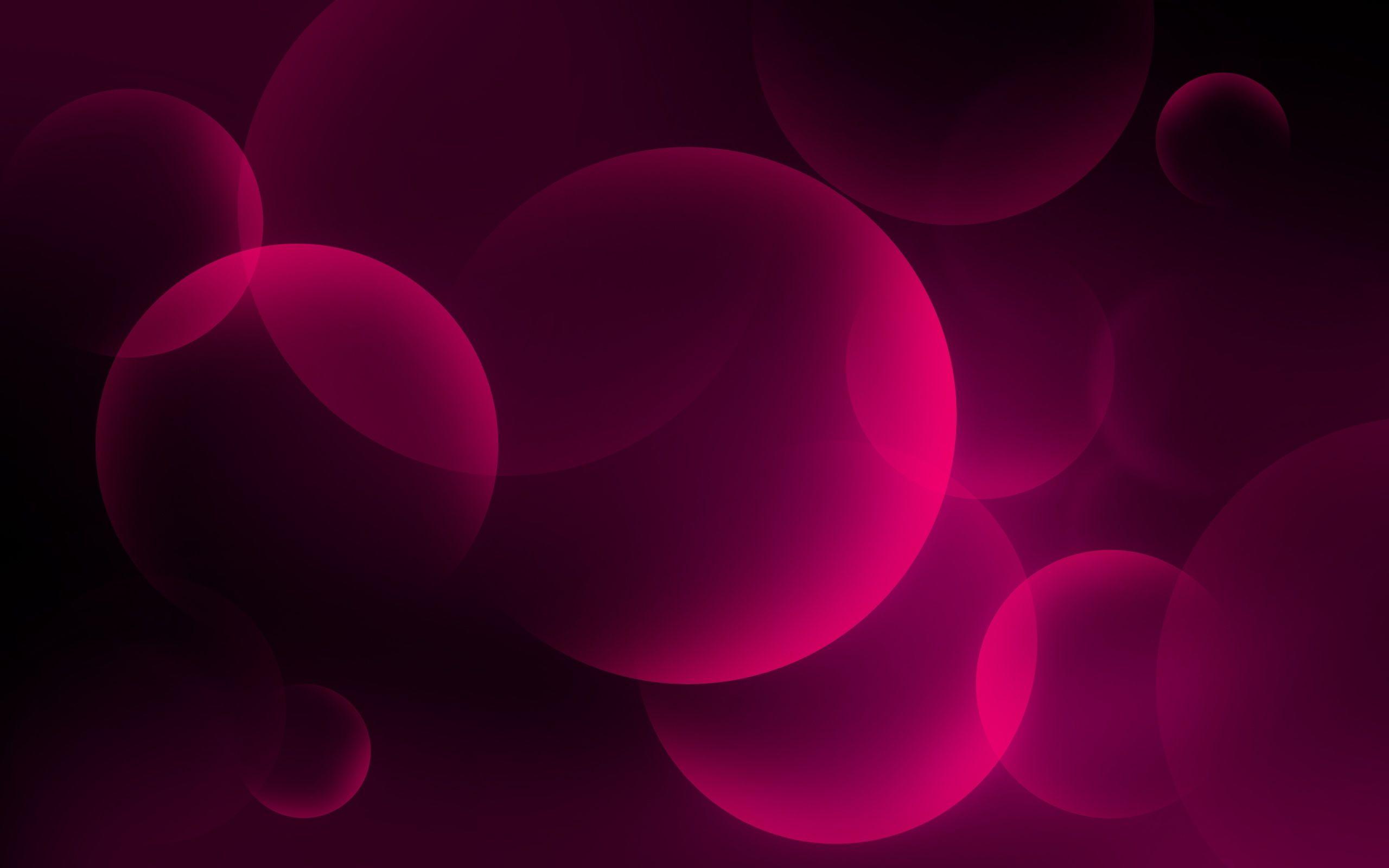 2560x1600 Pink and Black Wallpaper