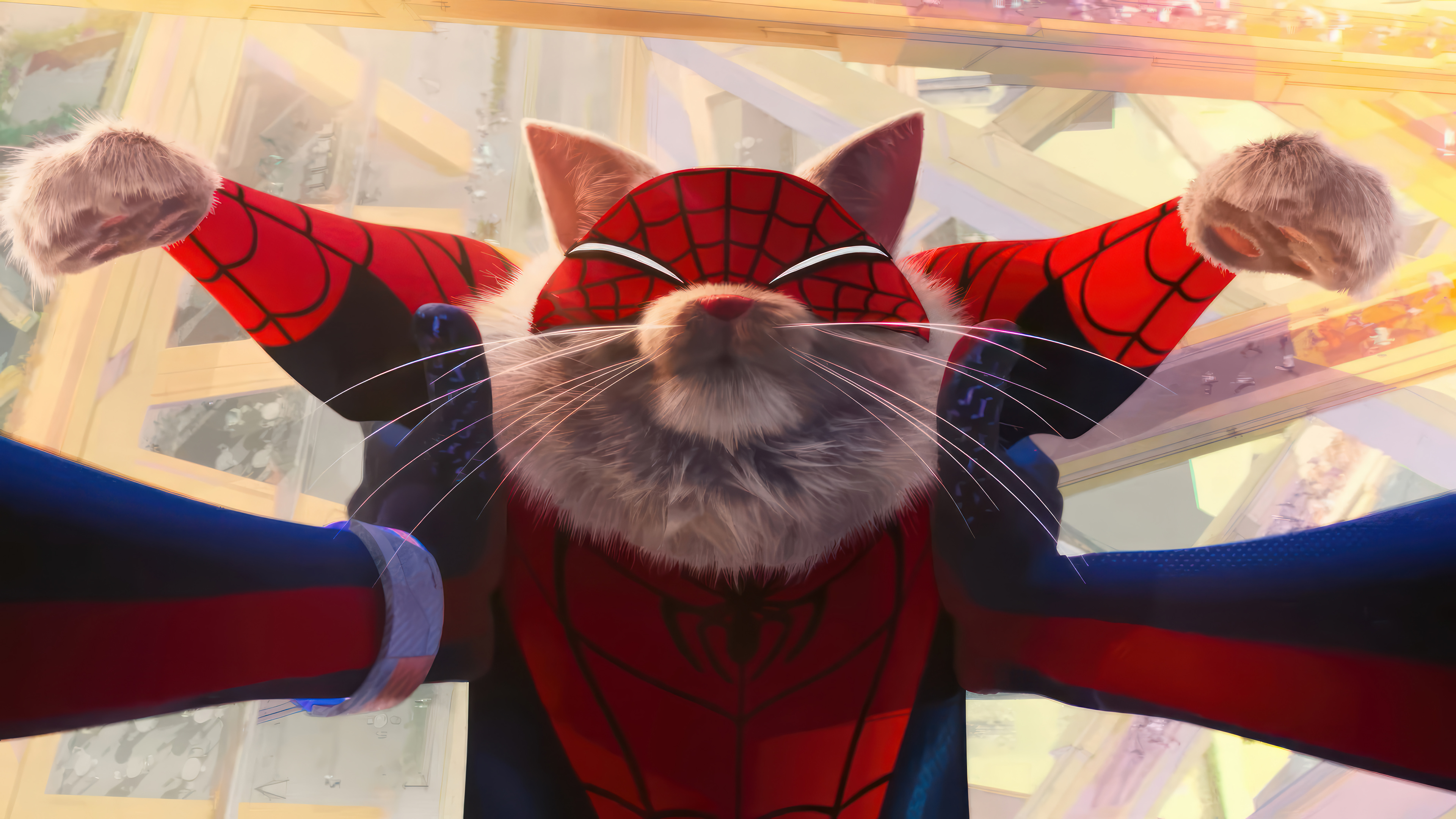 3840x2160 Spider Cat HD 4K Wallpaper PC & Phone