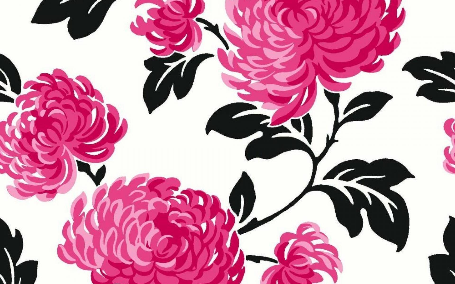 1920x1200 Download Free Pink And Black Wallpaper