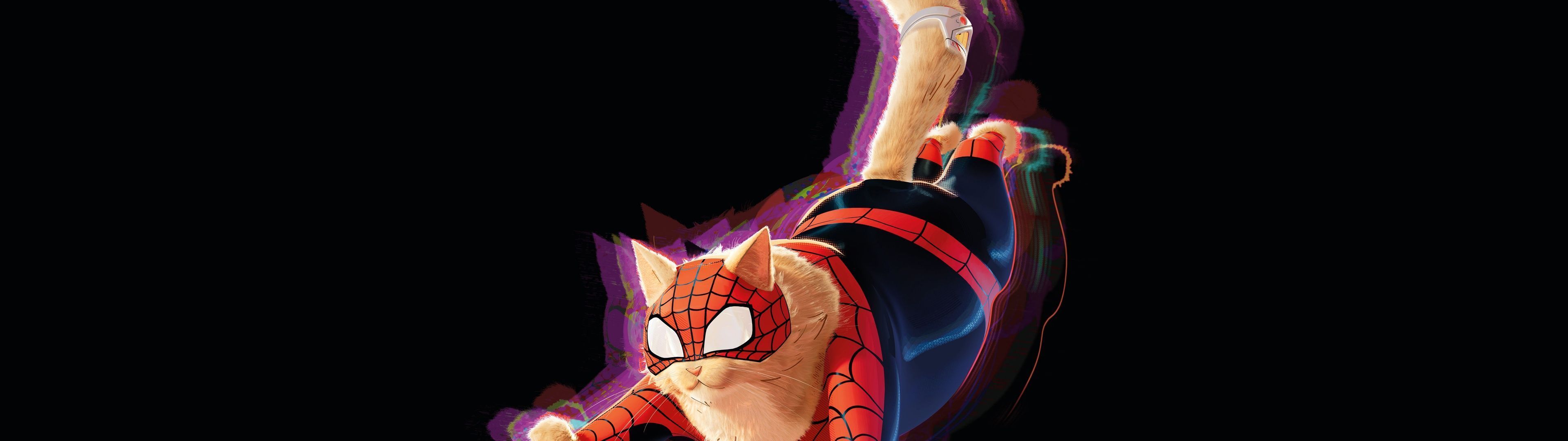 3840x1080 Spider Cat Wallpaper 4K, 8K, AMOLED