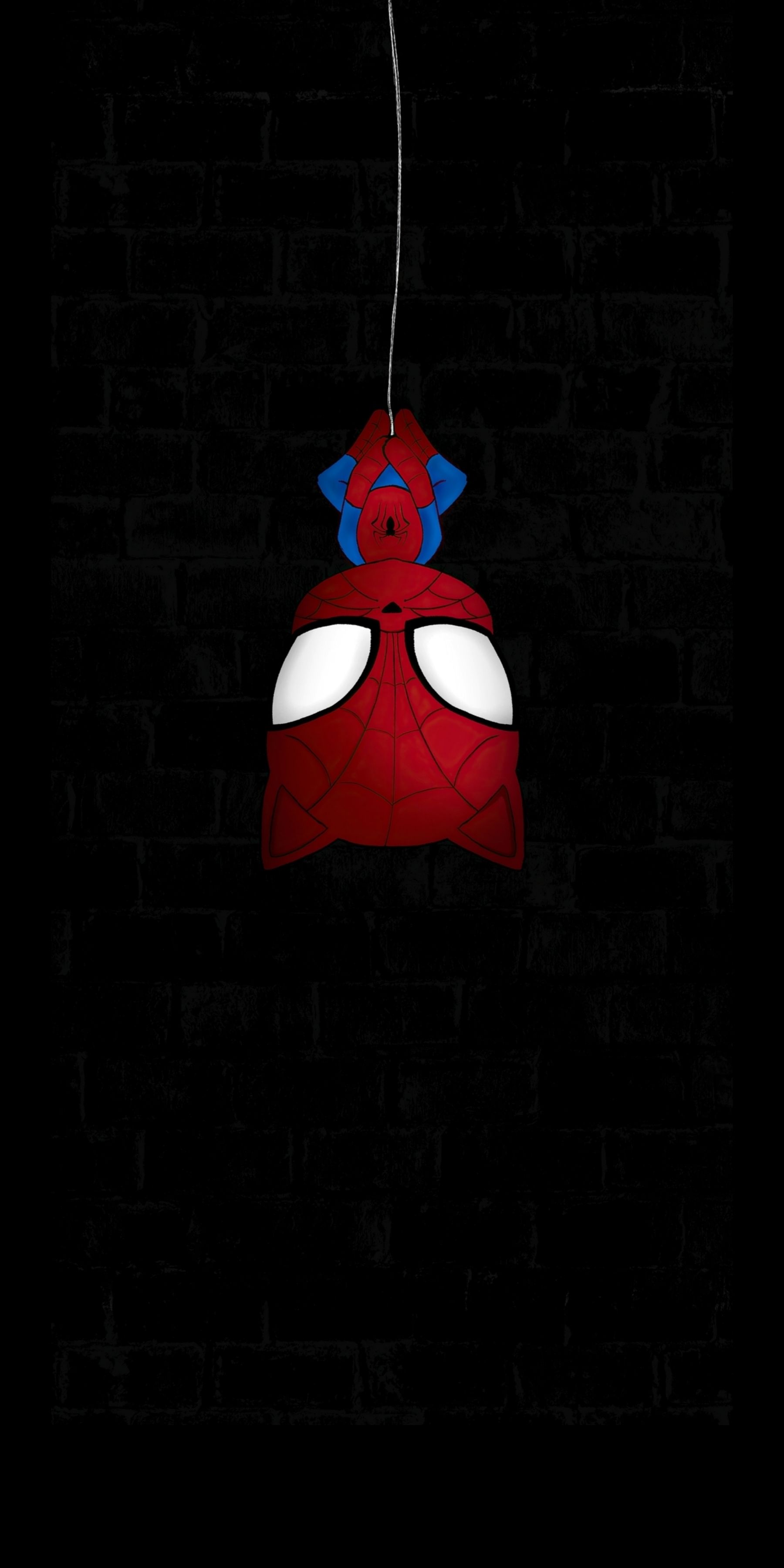 1800x3600 Spider cat [1800X3600] : r