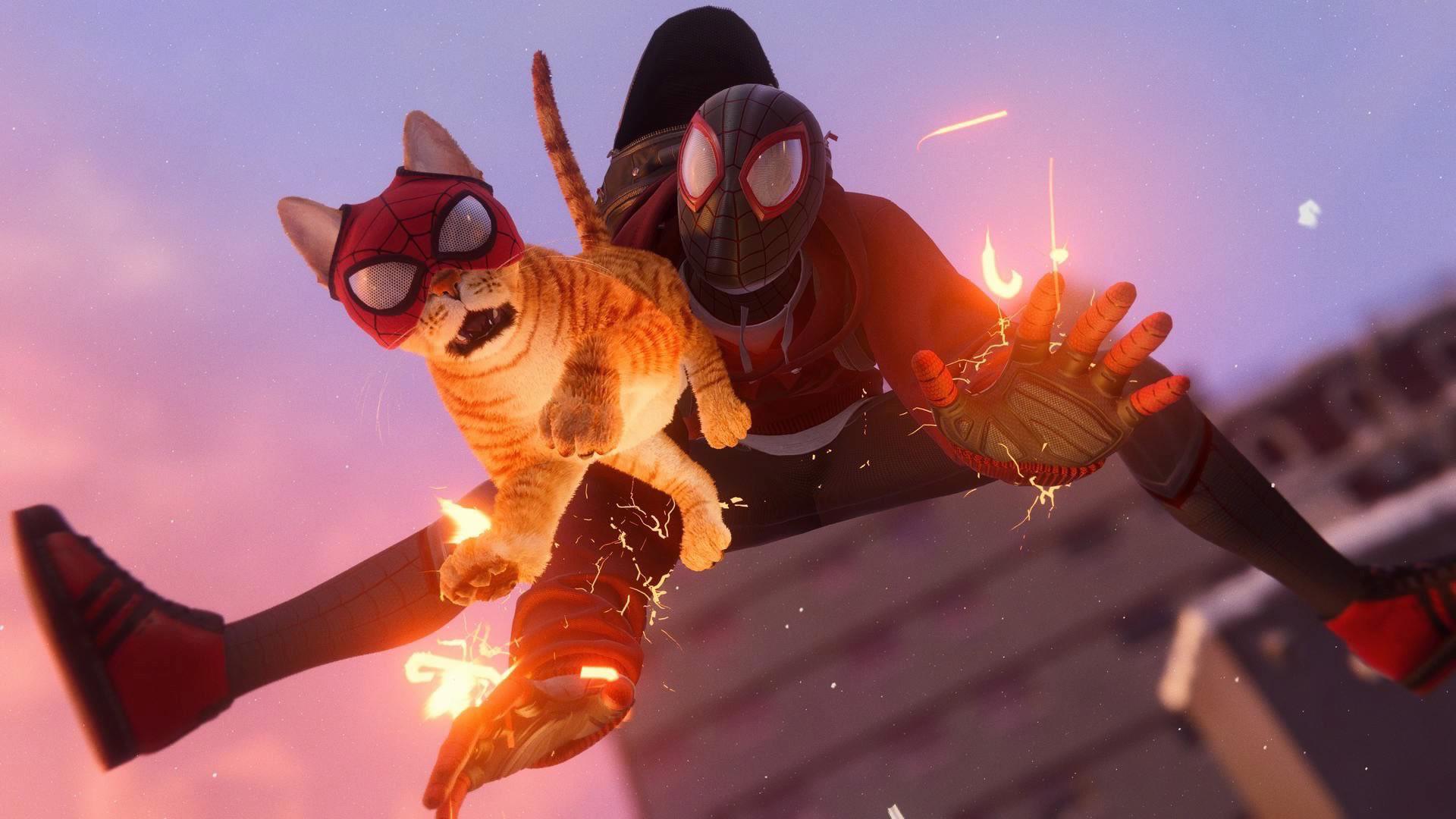 1920x1080 New Image Of Spider Cat Suit : R