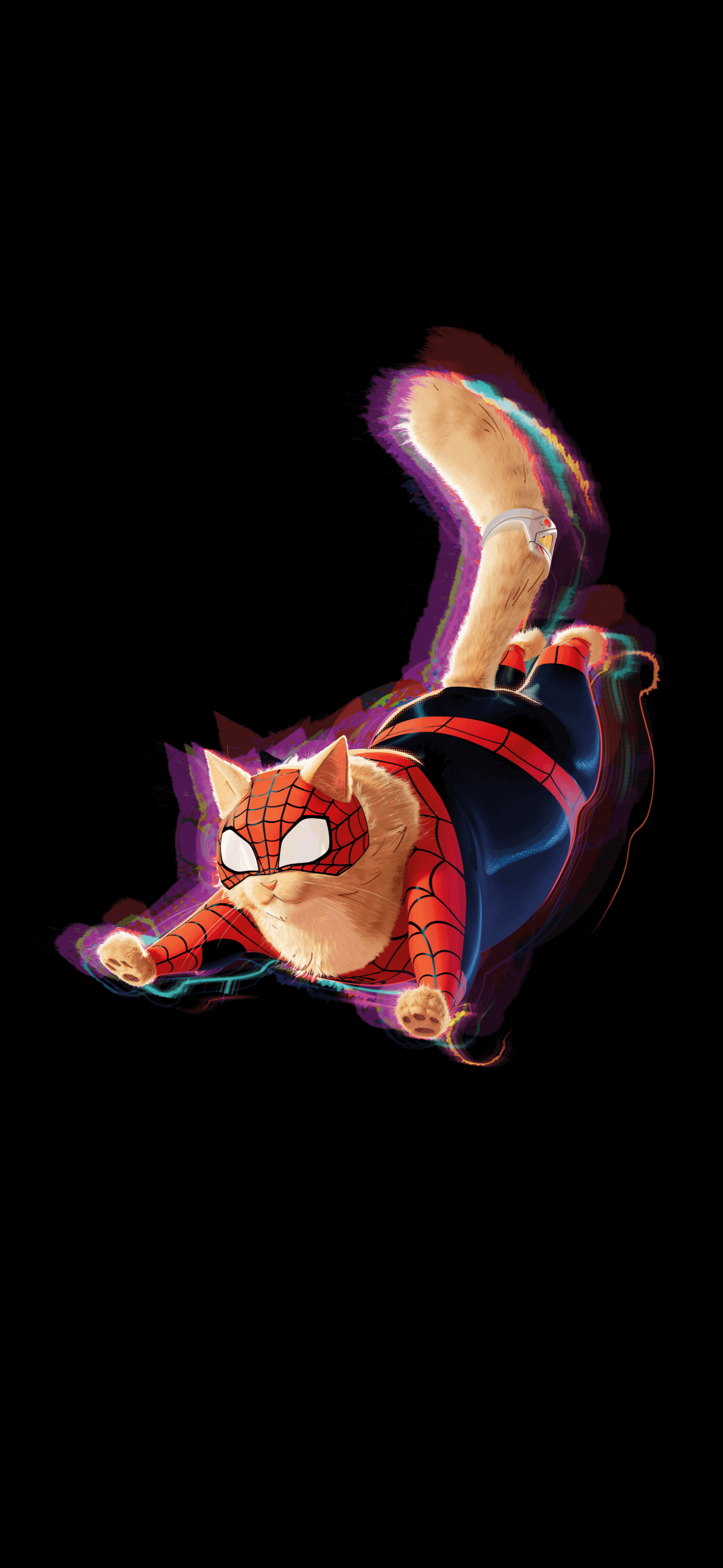 2048x4437 Spider Cat [2048x4437] : R