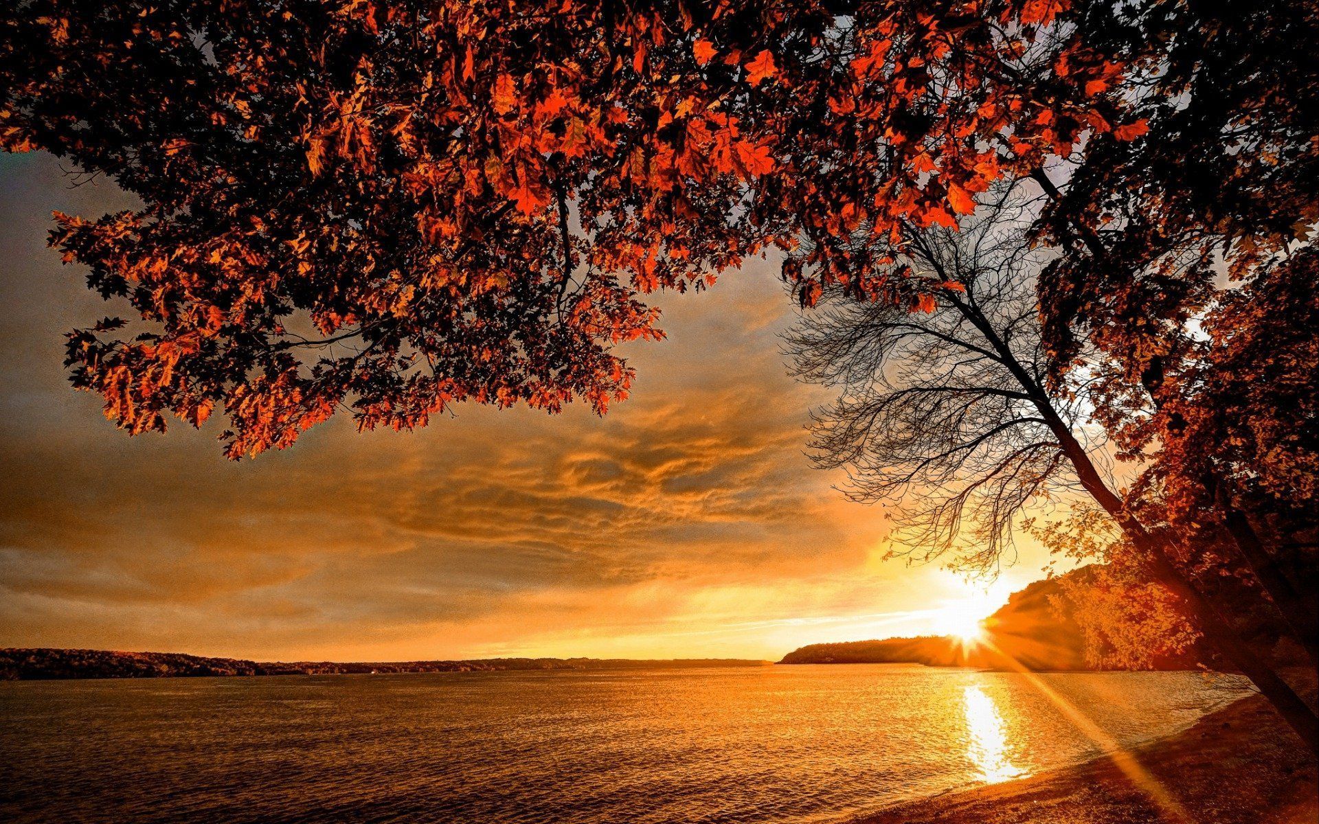 1920x1200 Tree Fall Sunset Nature Lake HD Wallpaper