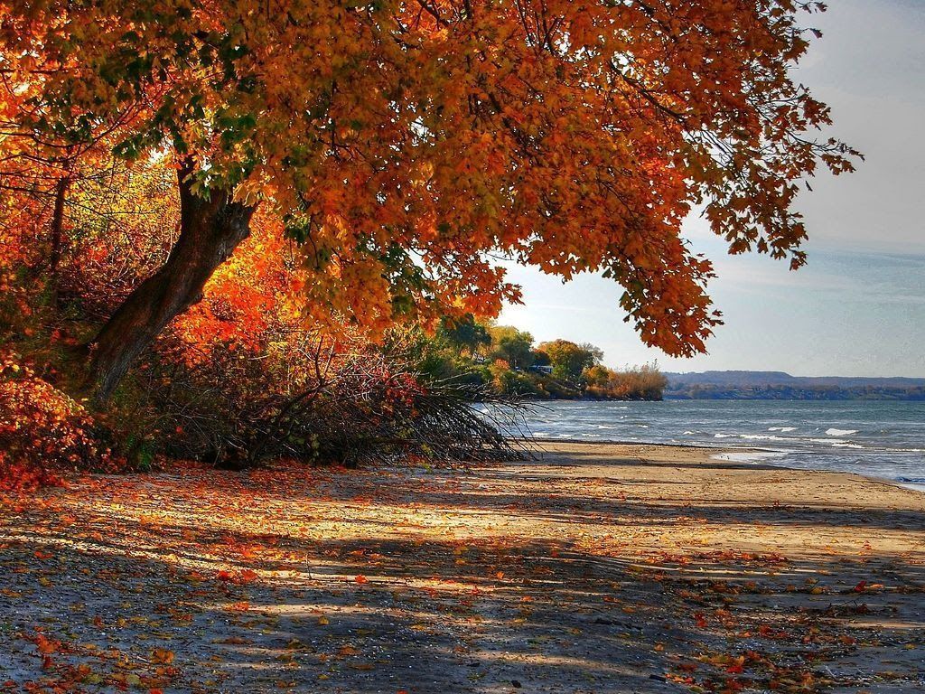 1024x768 October 23rd autumn beach