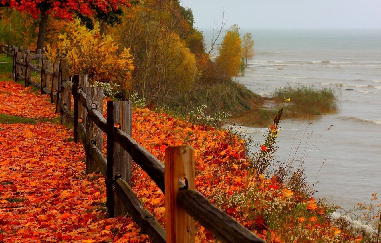 1332x850 Download wallpaper