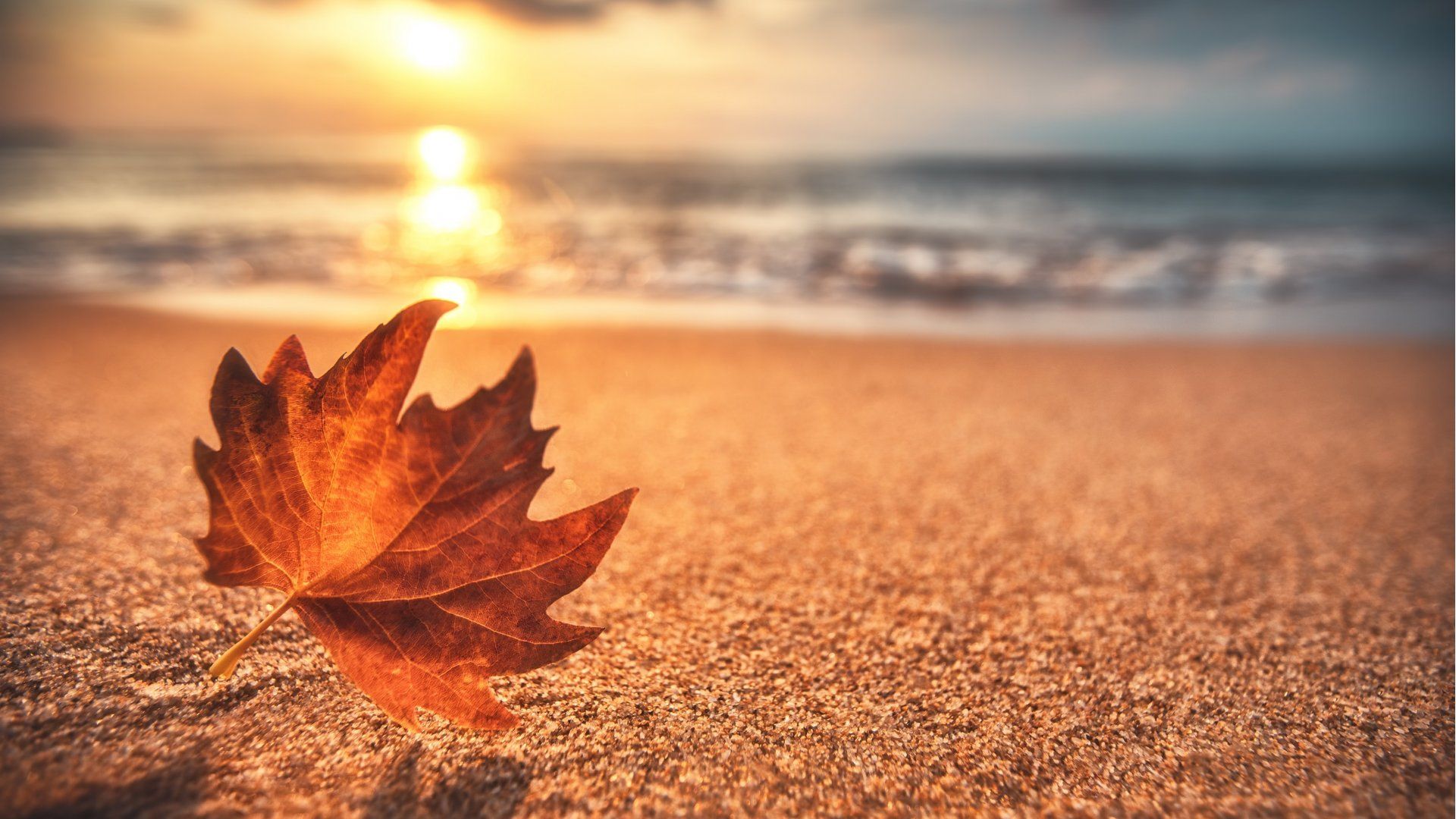 1920x1080 Autumn stay on Sobieszewska Island