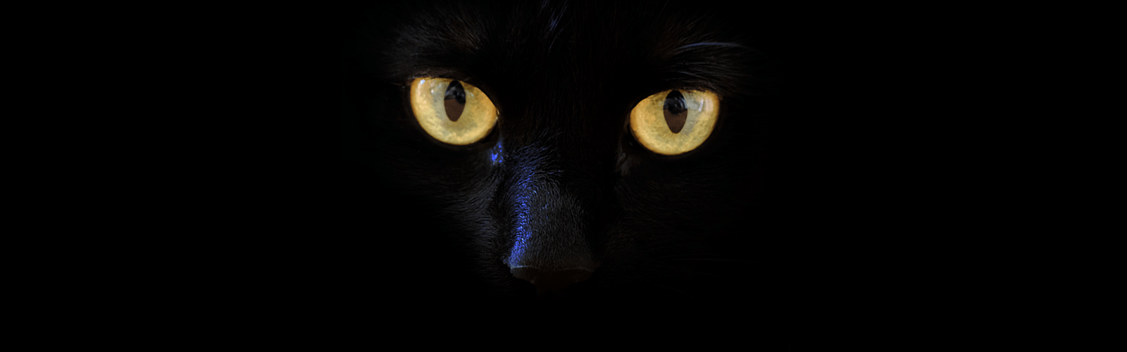 True Black Wallpapers Top Free True Black Backgrounds WallpaperAccess