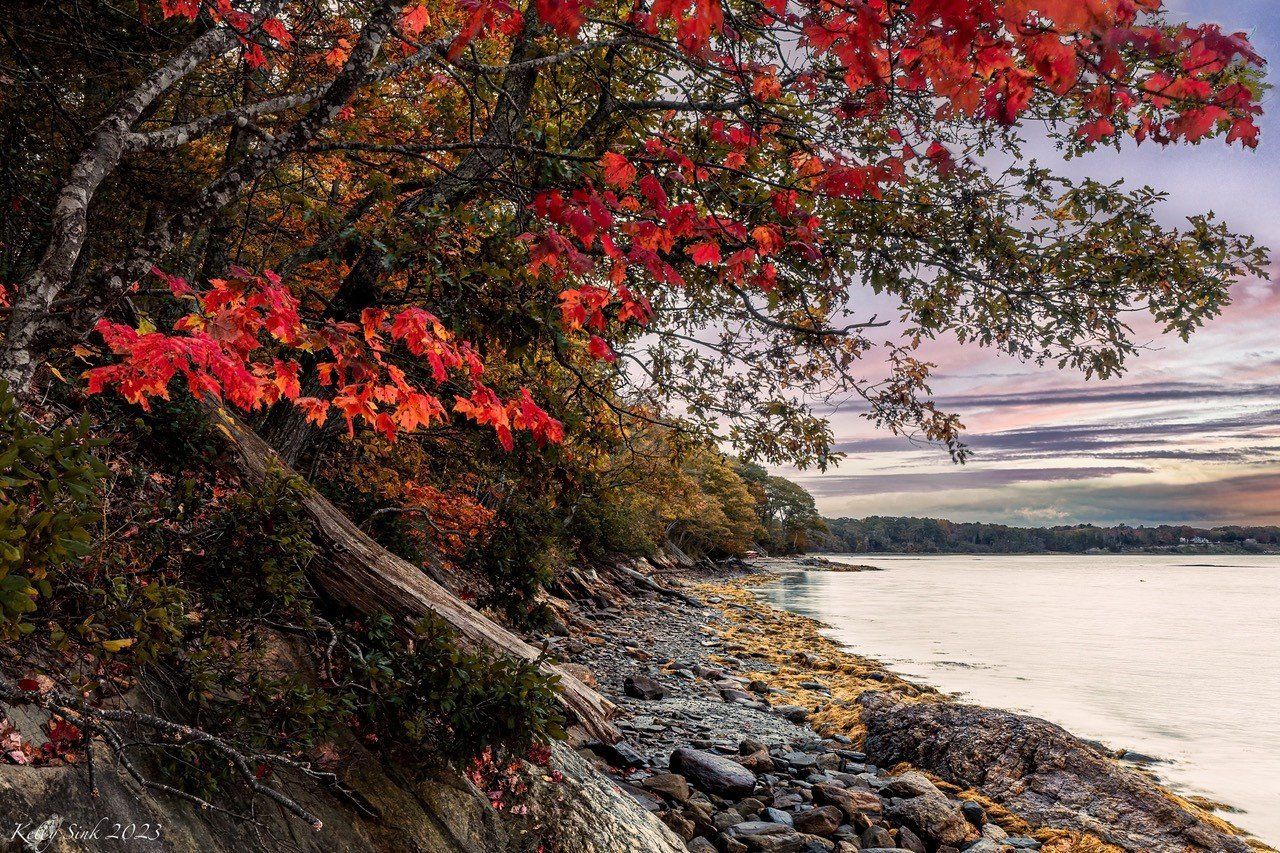 1280x853 Freeport Conservation Trust