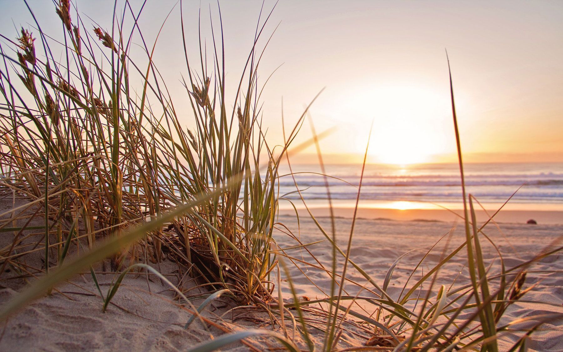 1800x1125 North Myrtle Beach Vacations