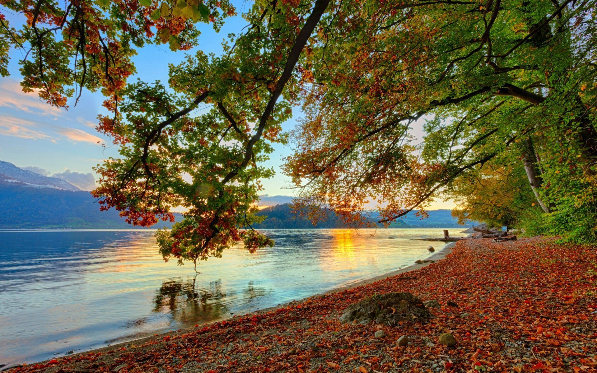 1920x1200 Download Leaf Fall Nature Lake HD Wallpaper
