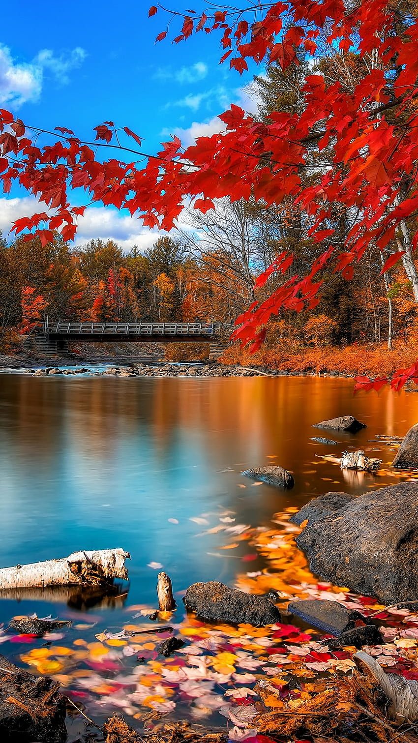 850x1511 Autumn beach HD wallpaper