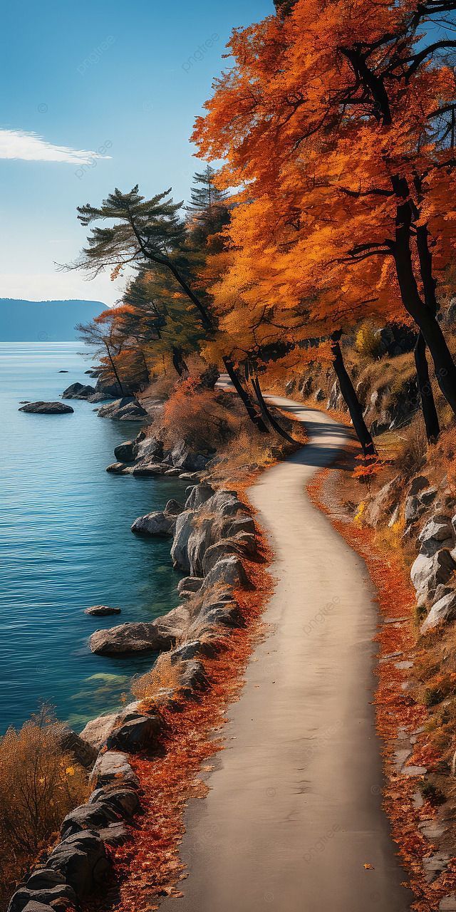 640x1280 Autumn Road By The Lake Background
