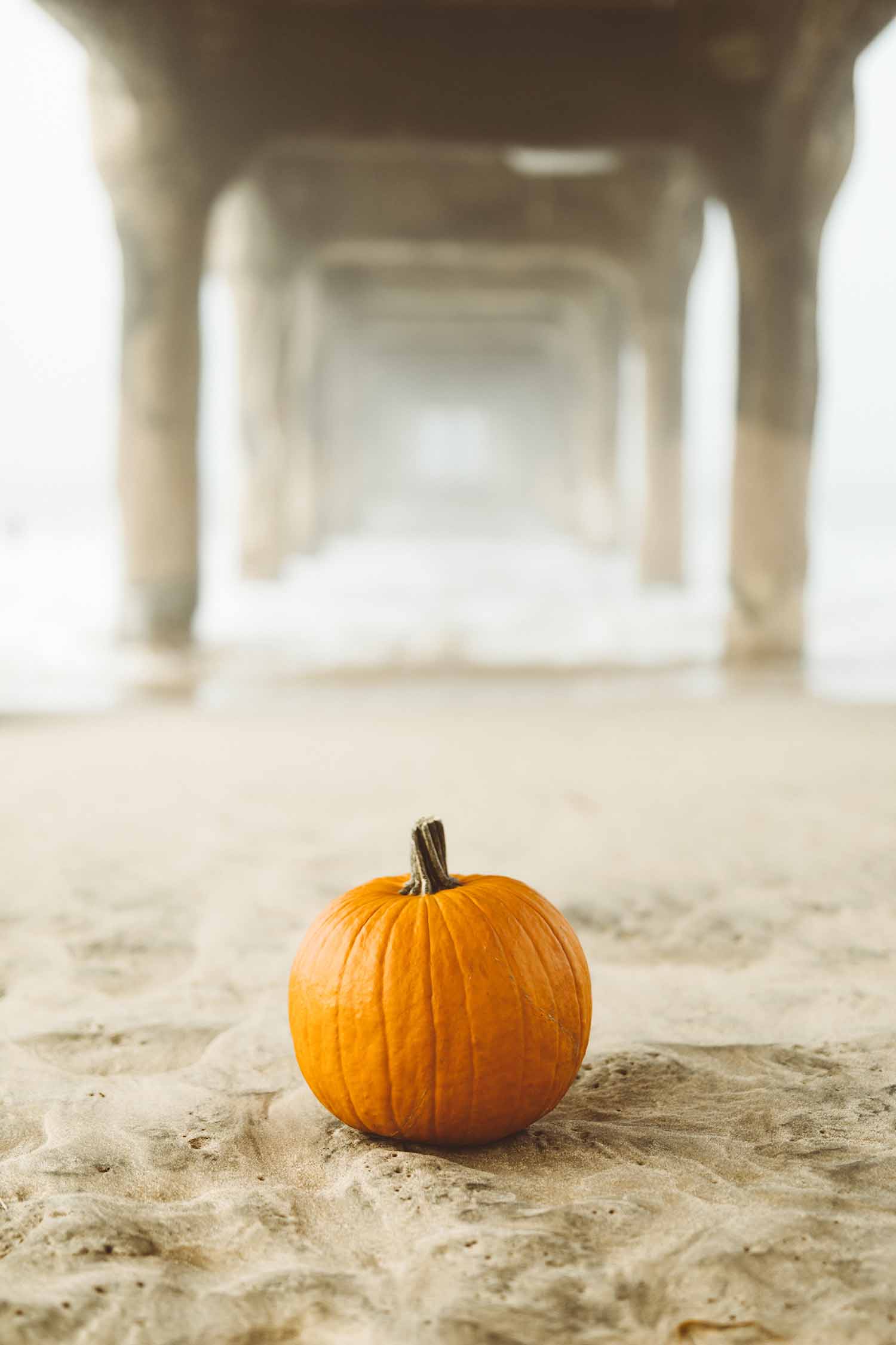 1500x2250 Fall Photohoots with Pumpkins: Ideas