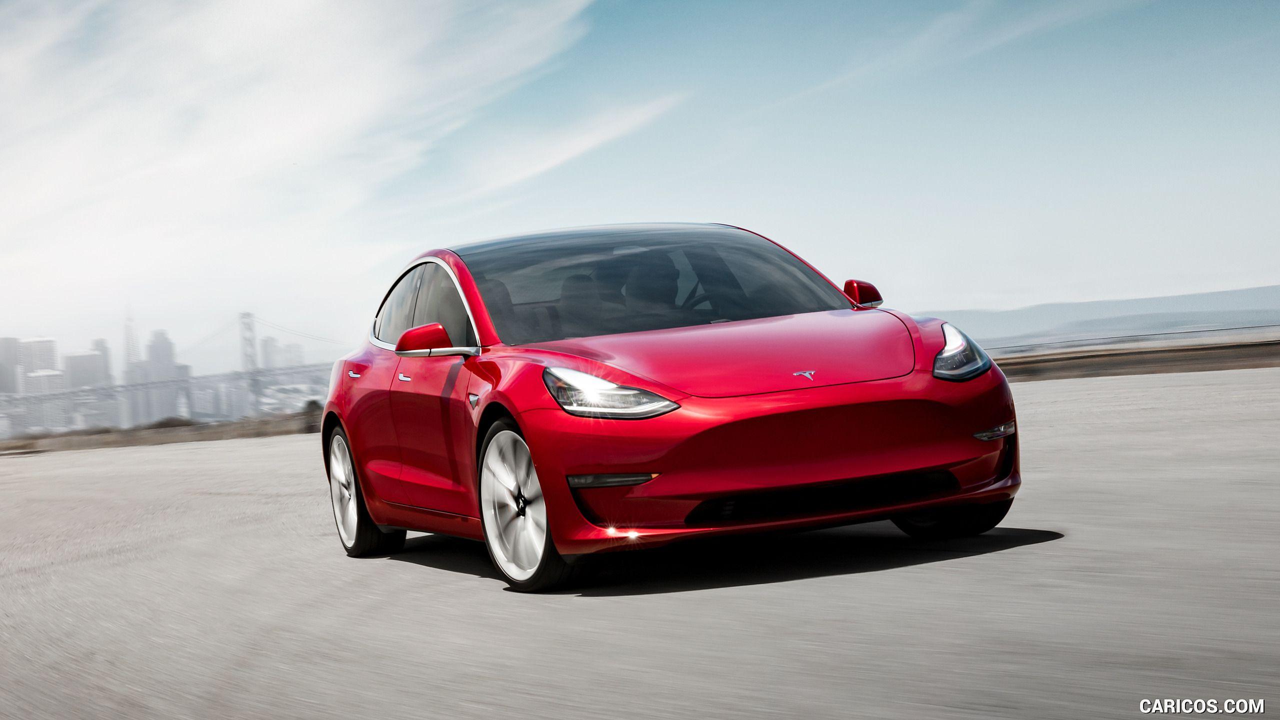 2560x1440 Tesla Model 3 Performance Dual Motor. HD