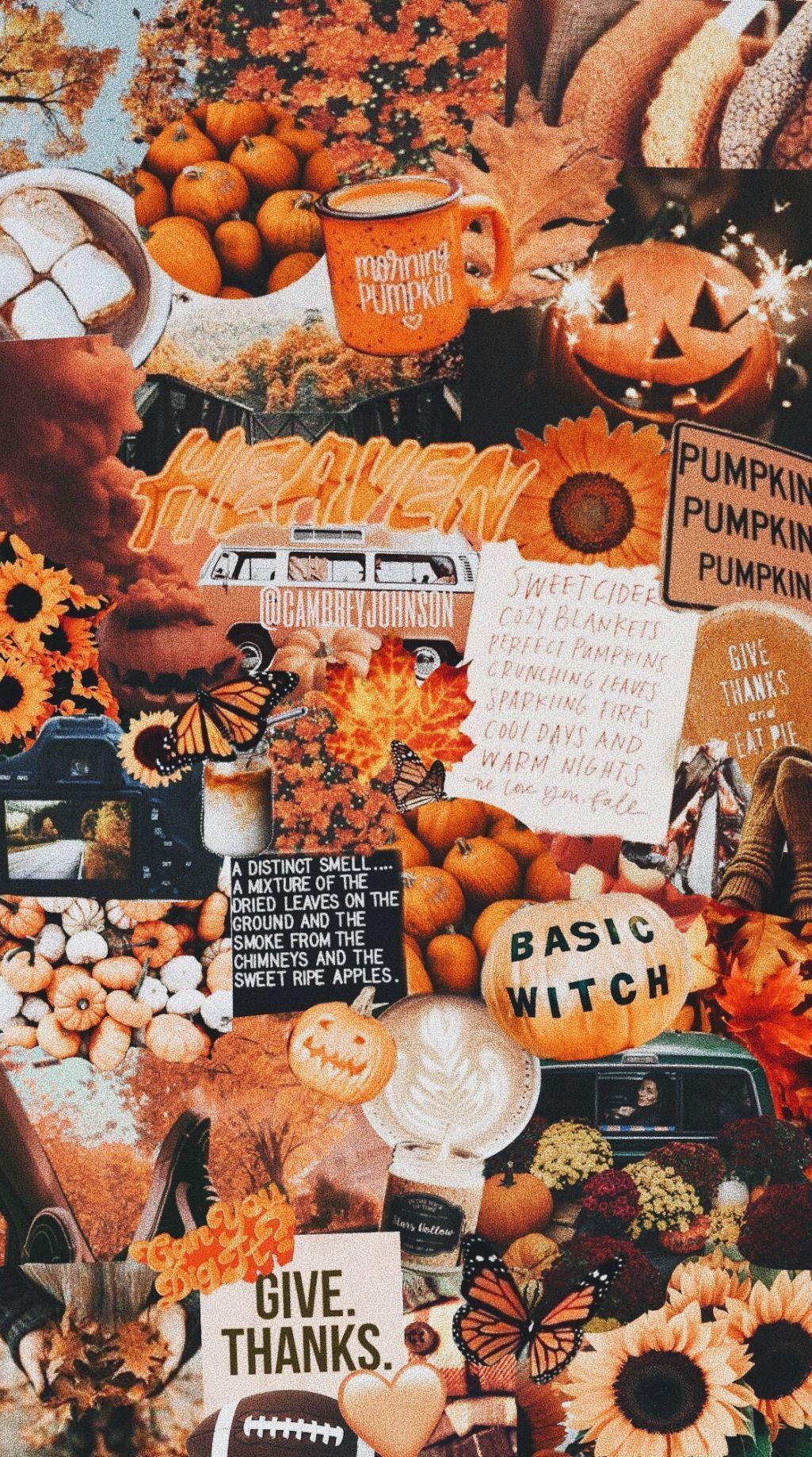 Download Fall Halloween Iphone Spooky Season Collage Wallpaper  Wallpapers com