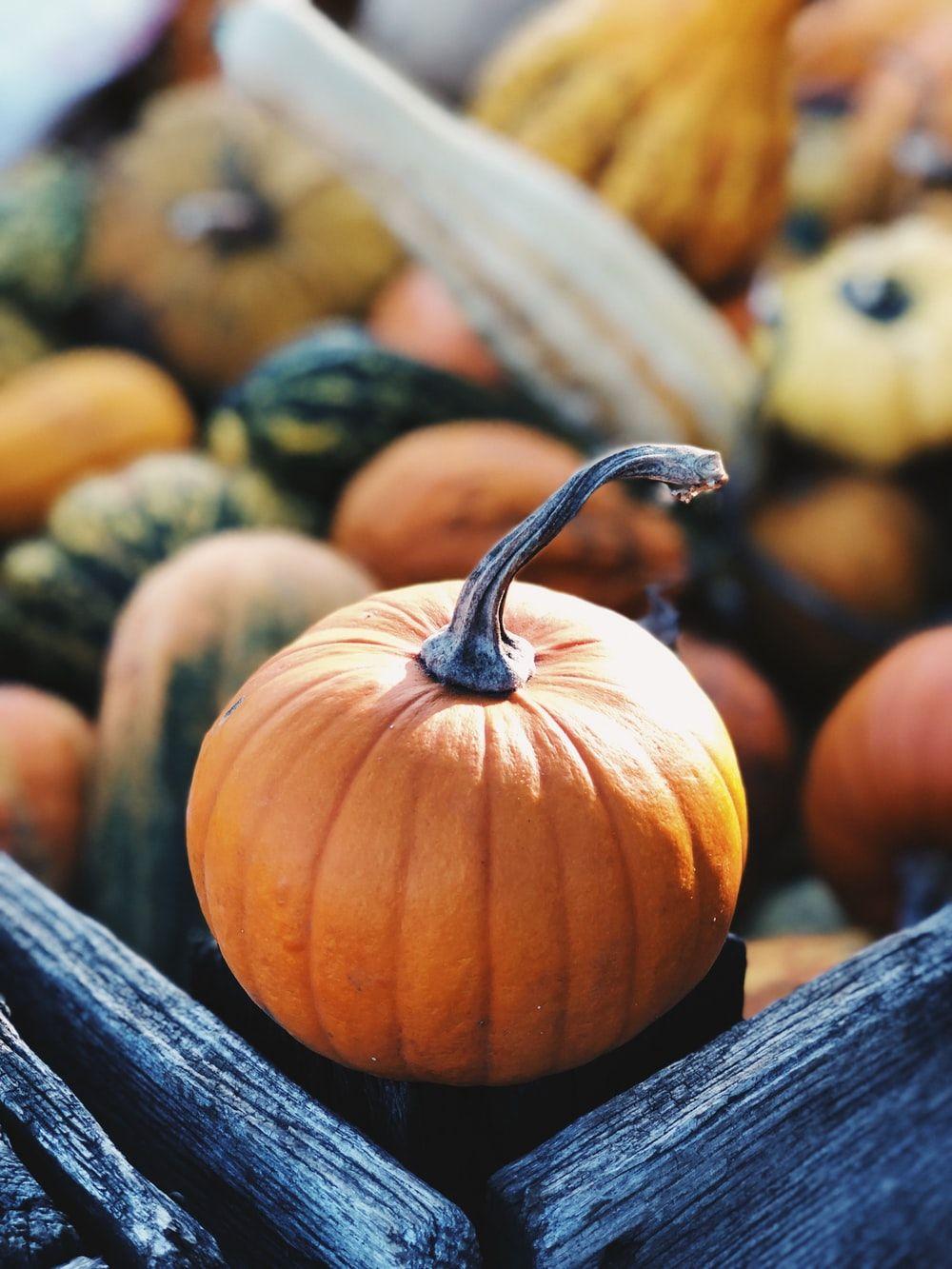 1000x1333 Fall Image: Download HD Picture & Photo