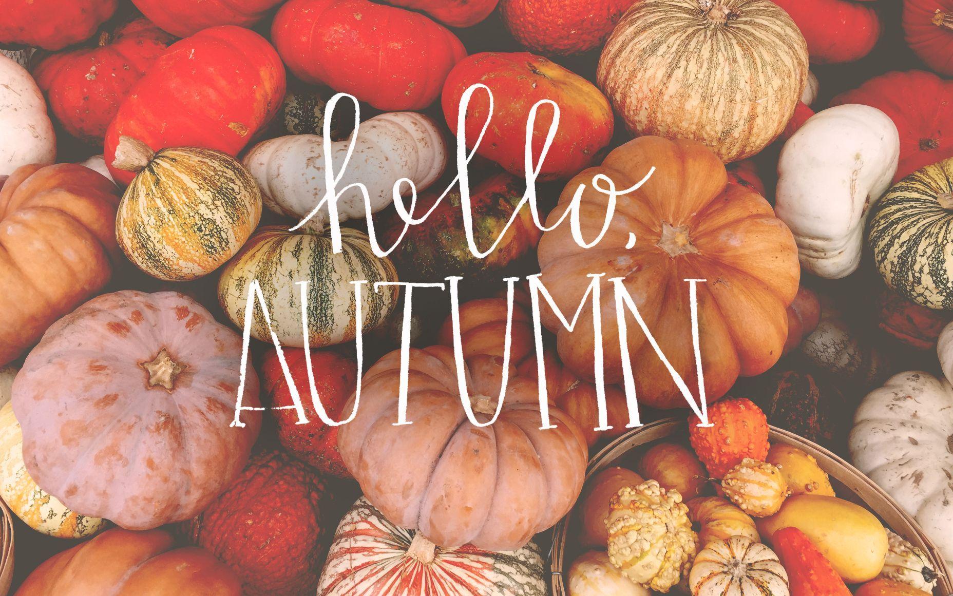 1856x1161 Autumn Wallpaper For Desktop