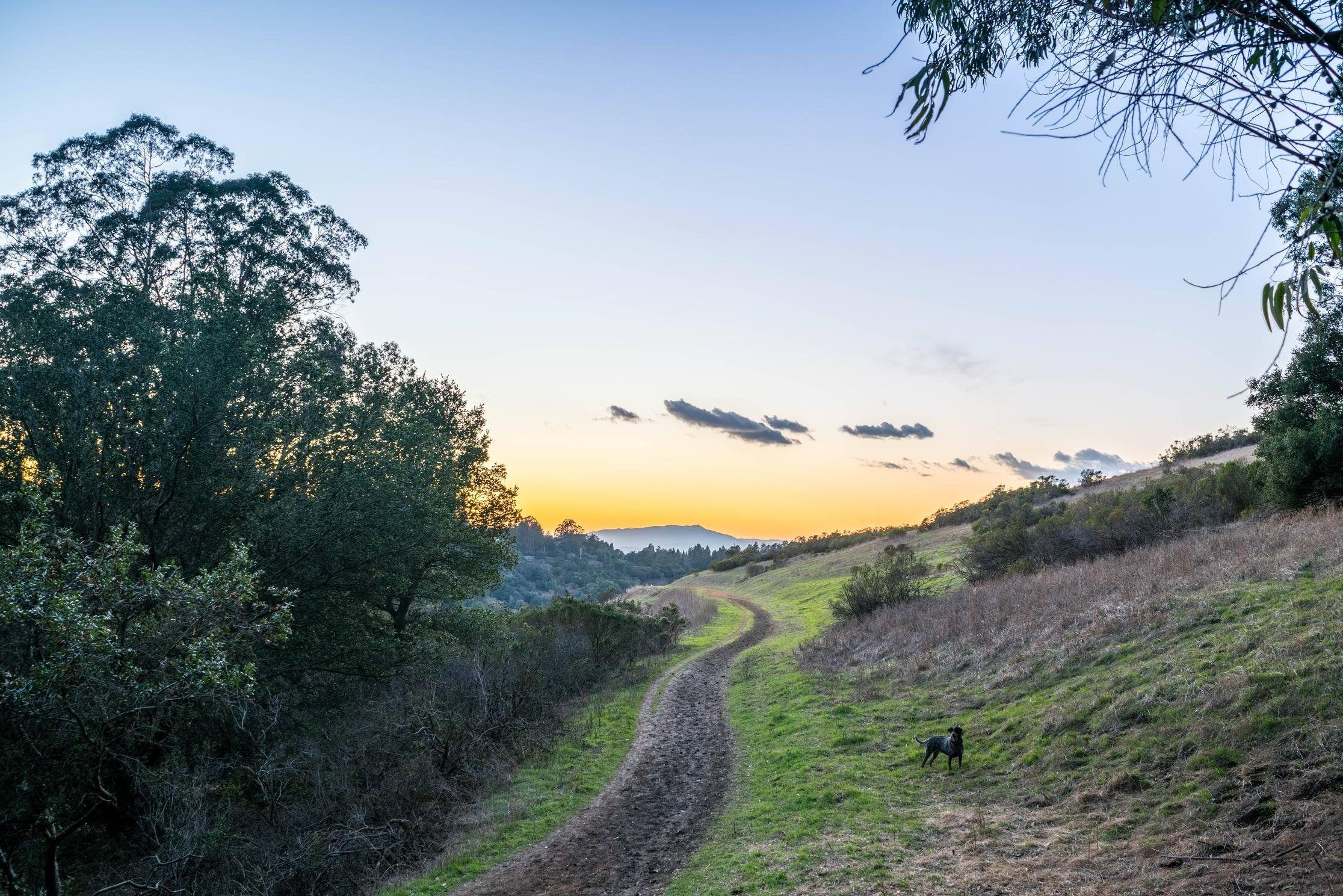 2232x1489 berkeley 4K wallpaper for your desktop or mobile screen