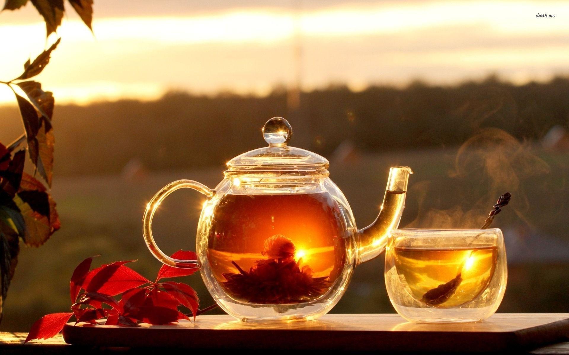 Hình nền trà đỏ 1920x1200 - Hình nền nhiếp ảnh https://wallpaperaccess.com/full/1558869.jpg