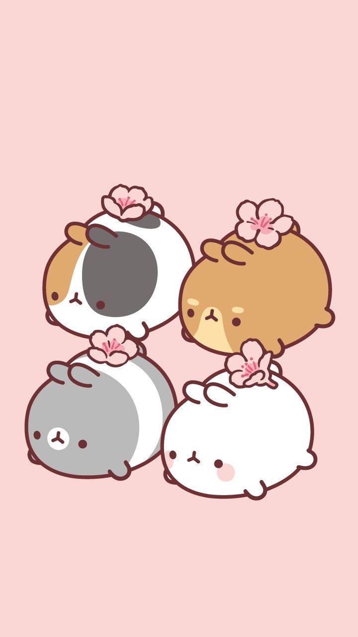 720x1280 2번째 이미지. Molang. Cute cartoon wallpaper, Kawaii