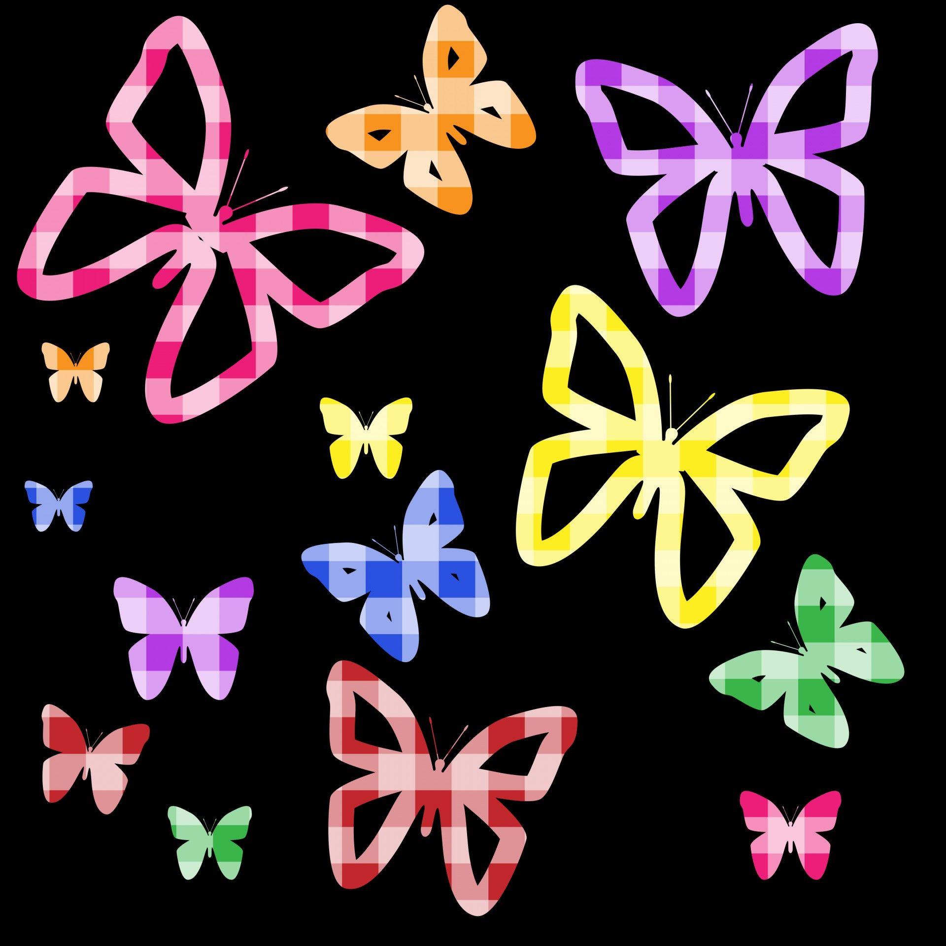 Colorful Butterfly Wallpapers Top Free Colorful Butterfly Backgrounds WallpaperAccess