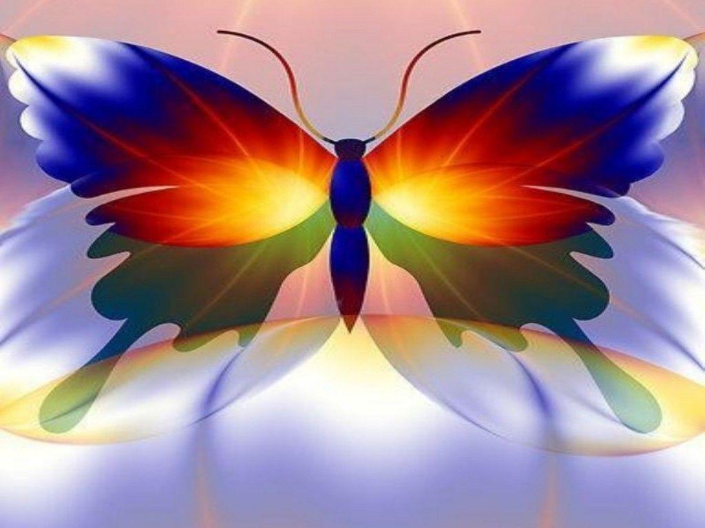 Colorful Butterfly Hd Mobile Wallpaper